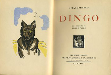 Dingo par Falké