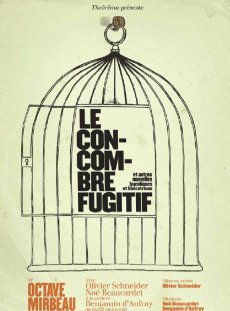 Concombre